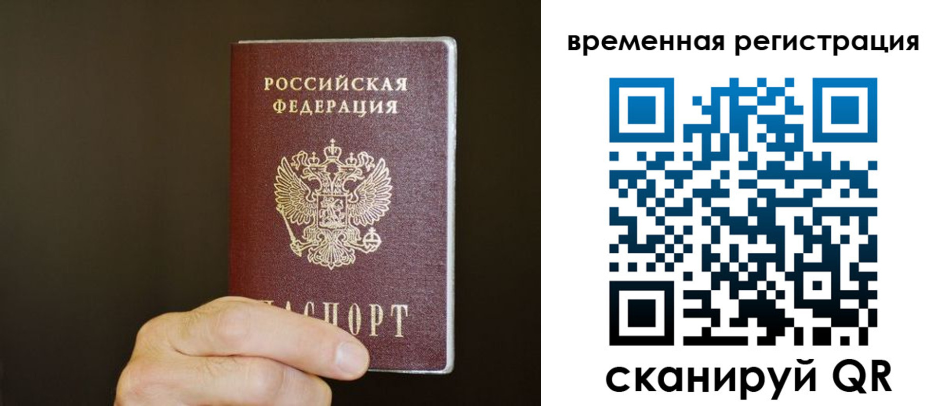 прописка гарантия в Мирном